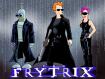 frytrix-1600-1200.jpg