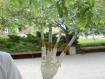 dsc00019.jpg