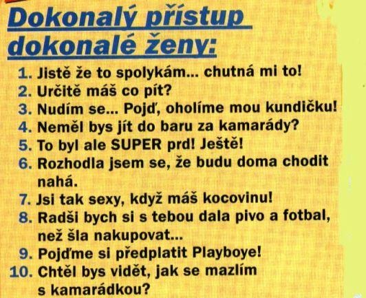 dokonaly-pristup.jpg