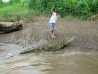 krokodyl.jpg