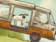 home-sheep-home-2.jpg