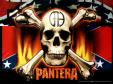 pantera-flag-and-skull.jpg