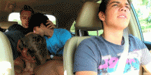 10.gif