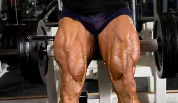 build-muscular-thighs10.jpg