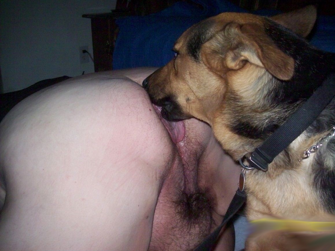 Dogs Eating Pussy.
