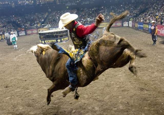 bull-ride.jpg