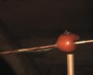 arrow-through-tomato.jpg