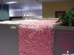 awesome-office-cube-pranks-13-thumb.jpg