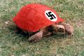 nazi-turtle.jpg