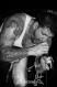 madball-24392.jpg