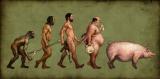 funny-evolution01.jpg