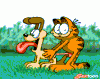 garfield-suka1.gif