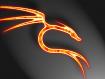 burning-dragon-wp-1024.jpg