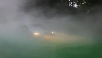 zelena.jpg