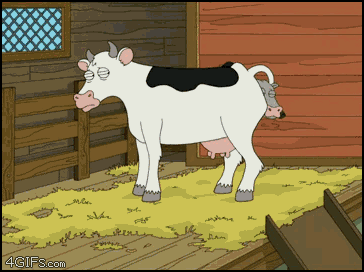 7.gif