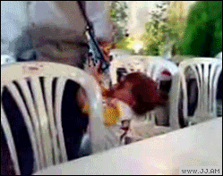 1265051722008.gif