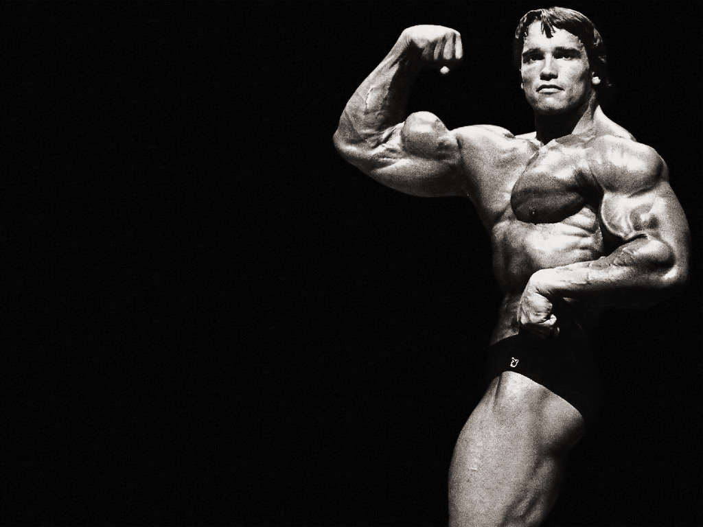 1226566411arnold-schwarzenegger-j02.jpg