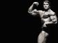 1226566411arnold-schwarzenegger-j02.jpg