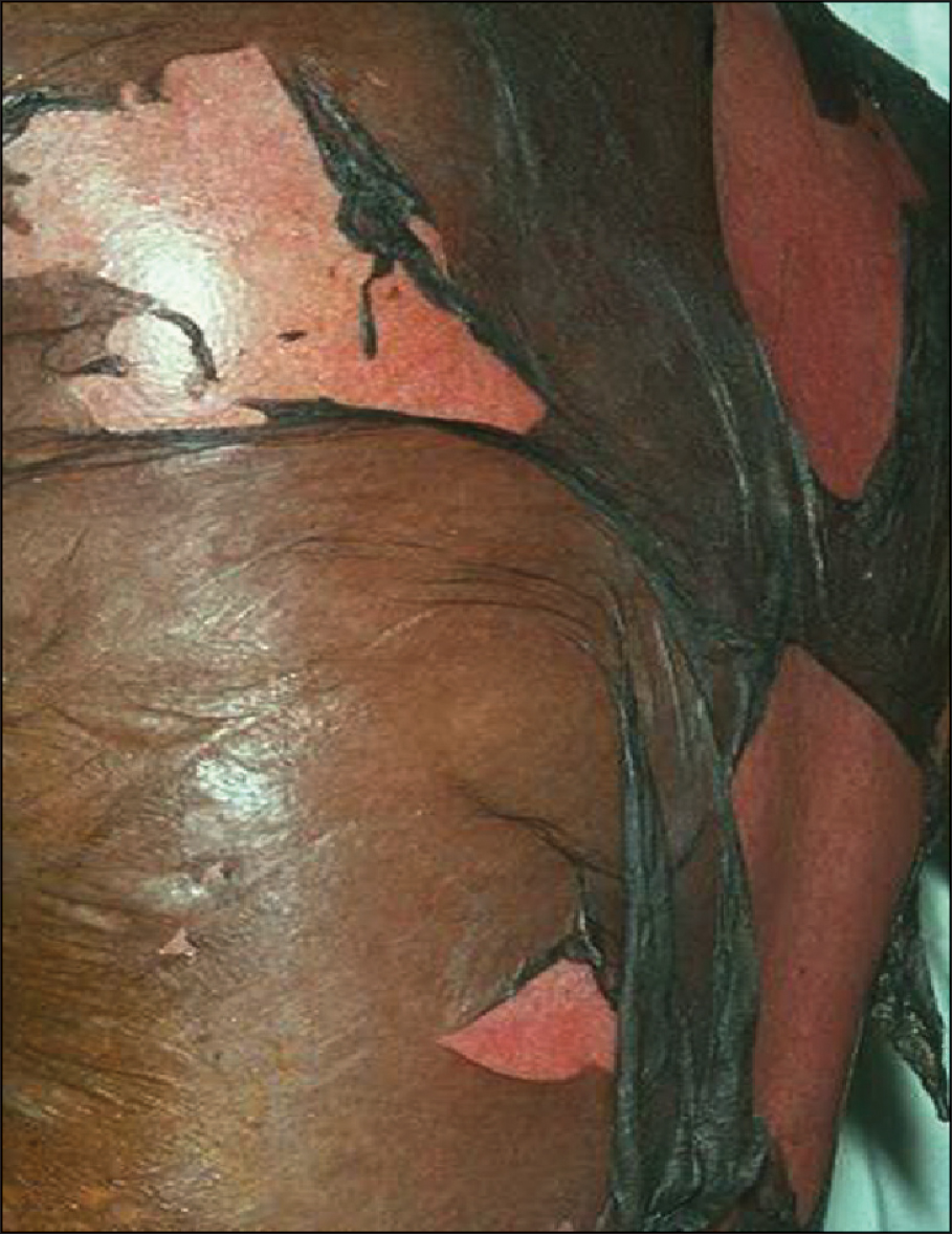 042030006-figure1.jpg