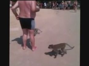 01-monkeys.jpg