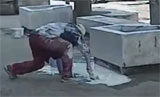 4780-drunk.jpg