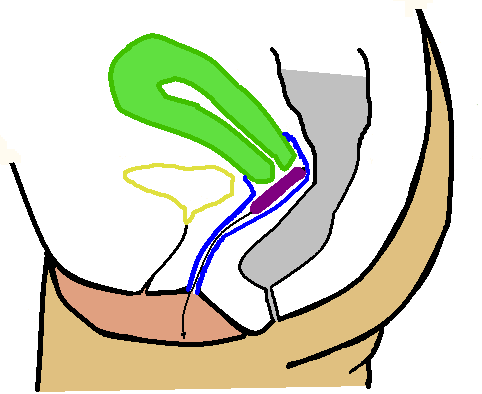 6.png