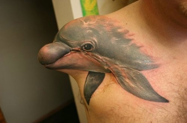 delfin.jpg
