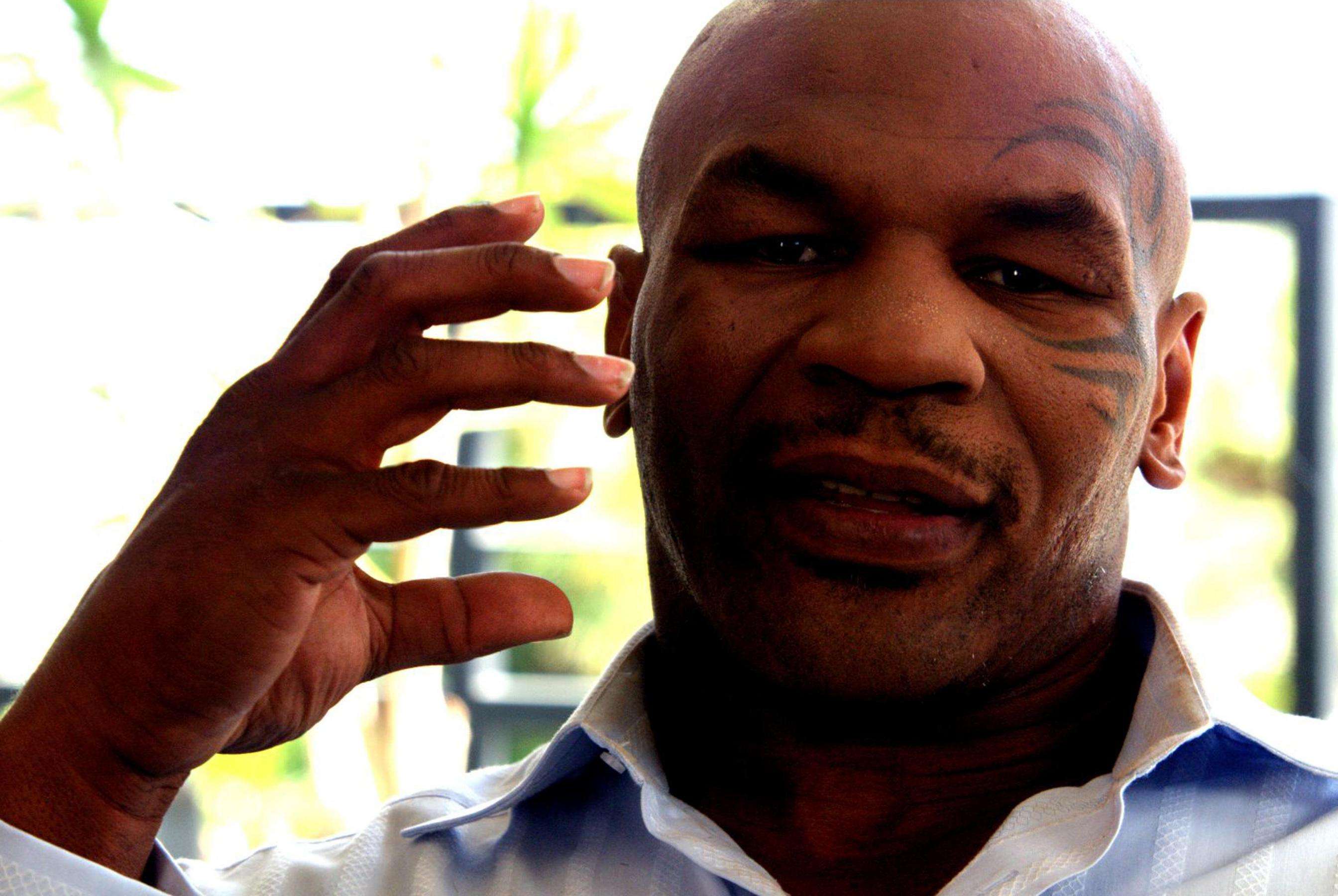 2009-tyson-003.jpg