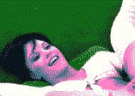 micek.gif