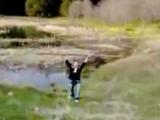 be-careful-when-throwing-a-stick.jpg