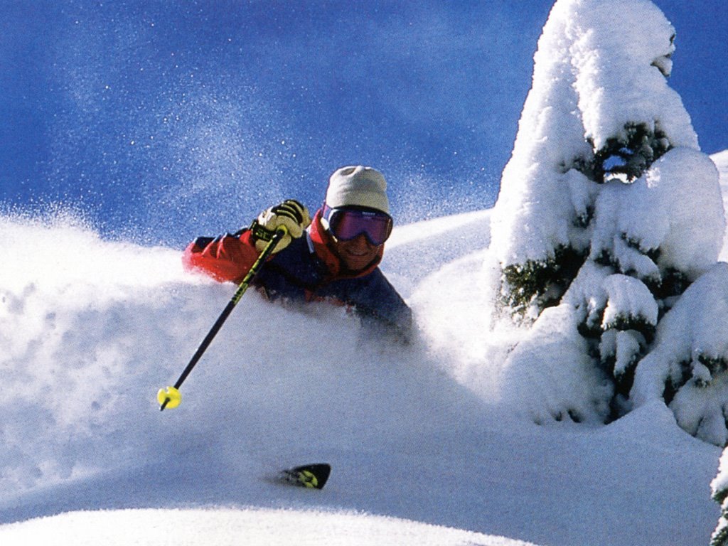 snow-skiing-365-5-758978.jpg