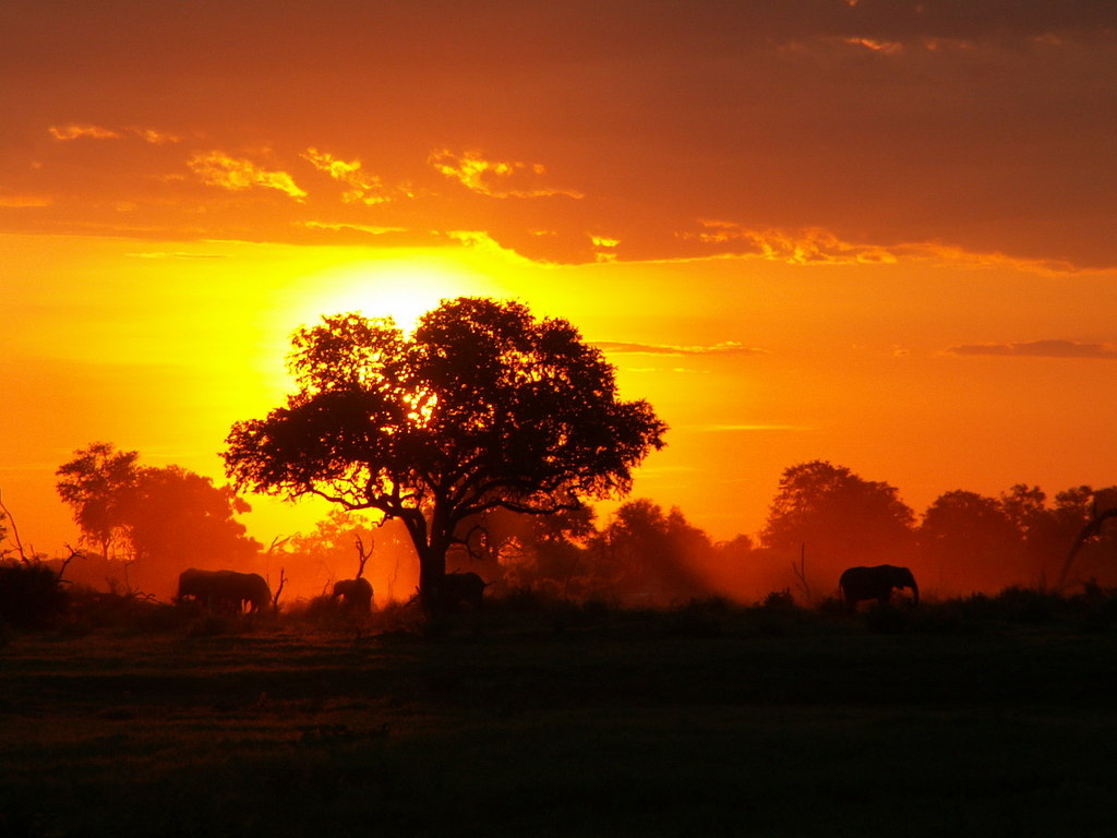 africa20photos20284.jpg