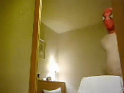 5.gif