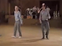 6.gif