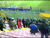 fanousek.jpg