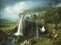 249852431-200.jpg