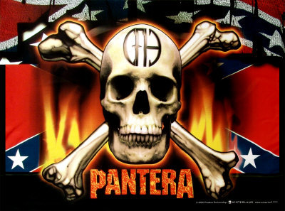 pantera-flag-and-skull.jpg