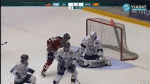 hockey.gif