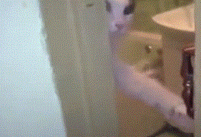 7.gif