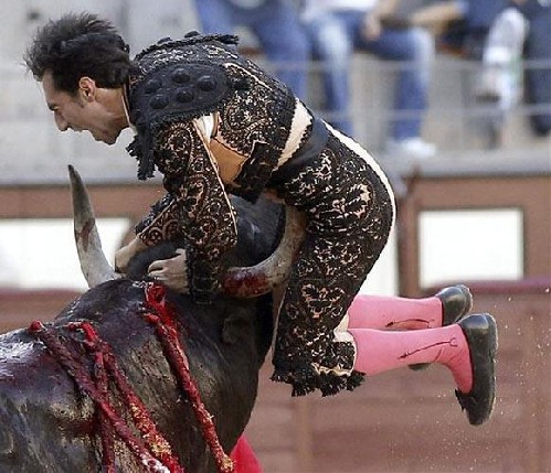 matador.jpg