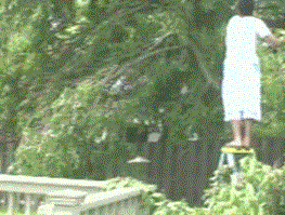 4.gif