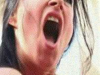 porngif2.gif