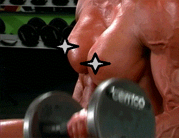 1.gif