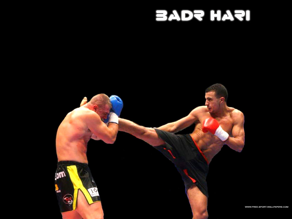 badr-hari.jpg