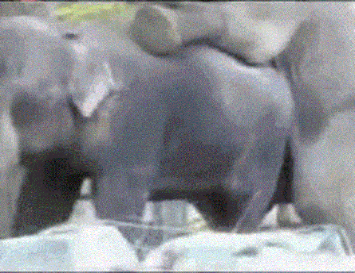 w04ppzb.gif