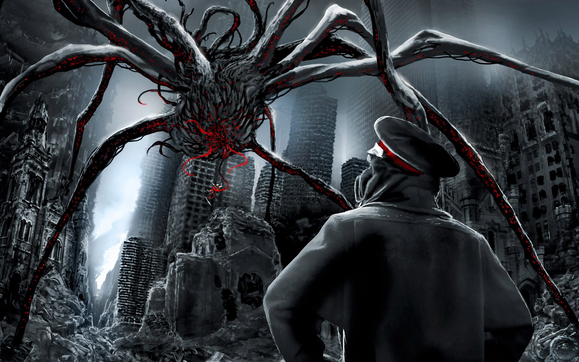 spider.jpg