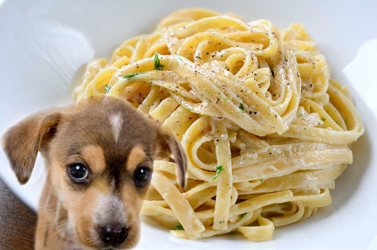 fettuccine.jpg