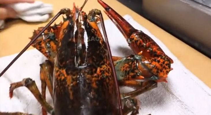 lobster.jpg