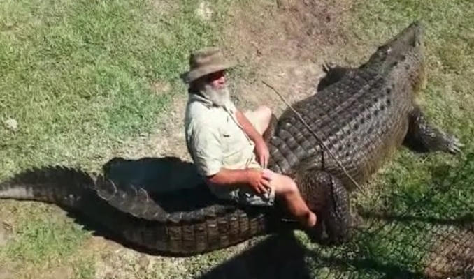 krokous.jpg