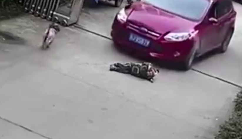 prejel.jpg